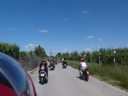 XVIII Concentracion - 2011